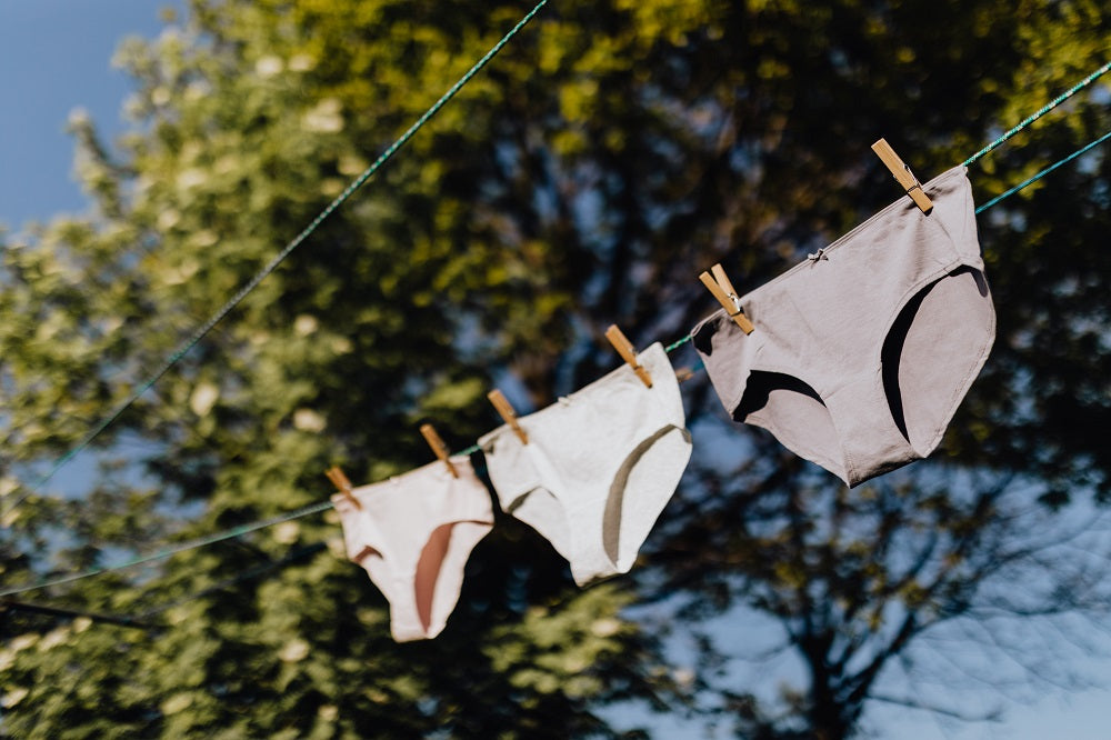 Period Underpants on clothes line