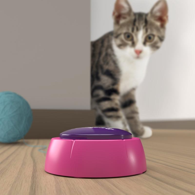 Cat No Button Cat Whisperer Button - Tween to Teen