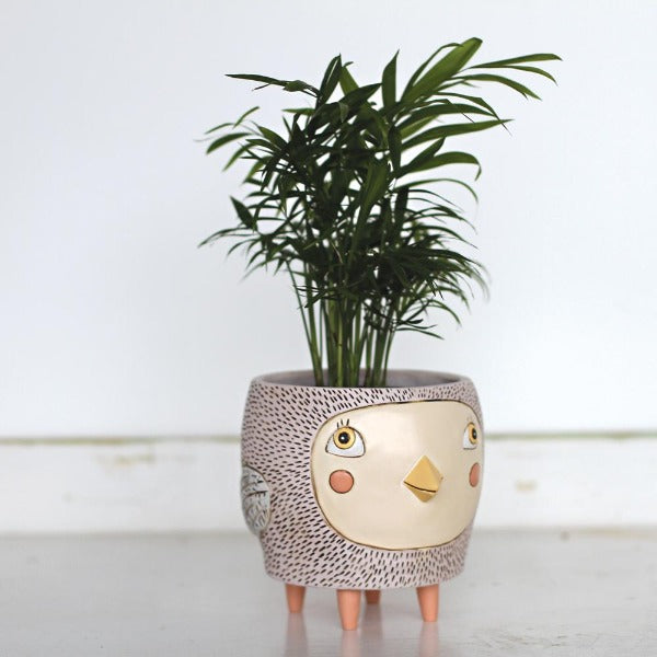 Light Gray Bye Bye Birdie Planter - Large Allen Designs