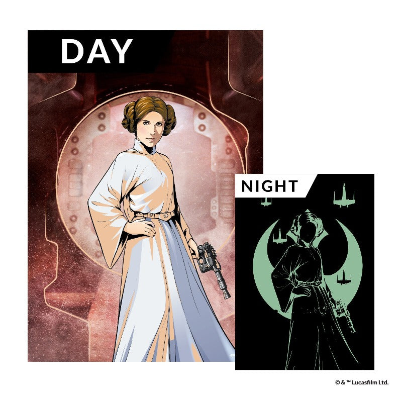 Day Night Glow in the Dark Princess Leia Poster